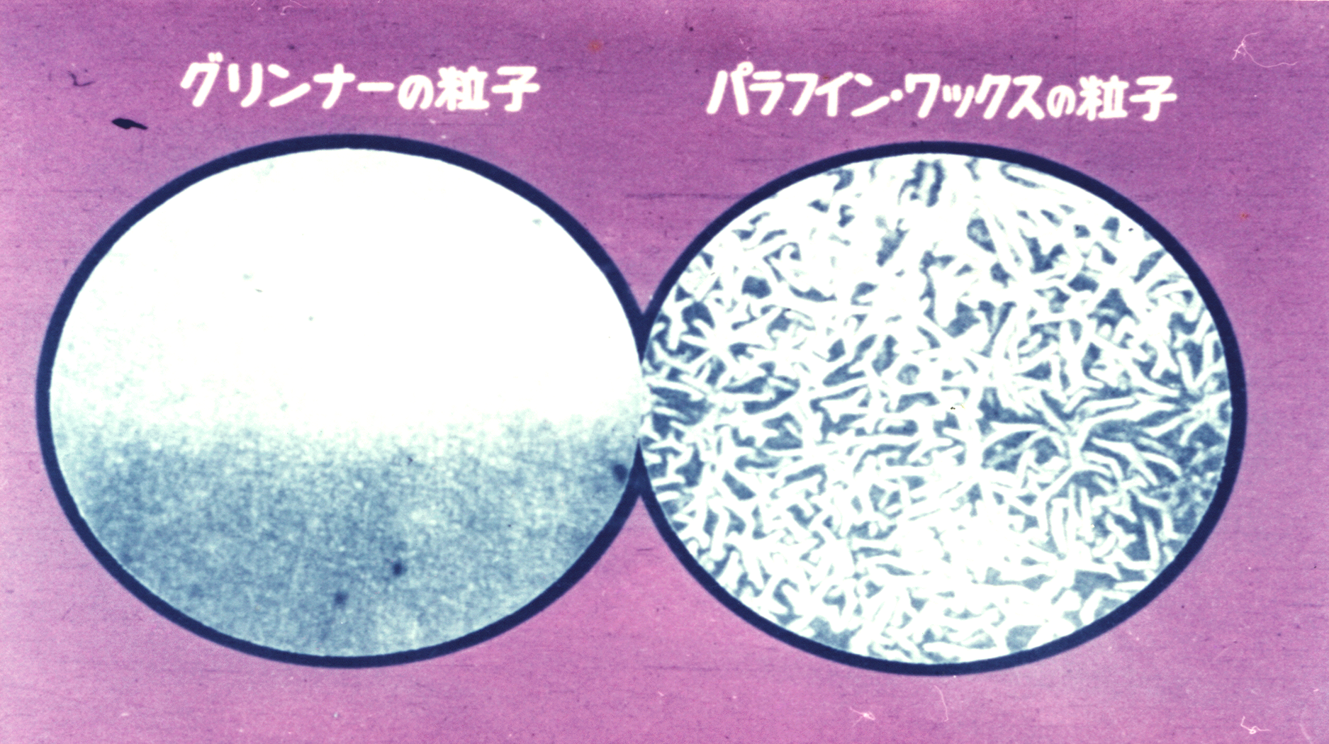 「グリンナー」「グリーンコート」「グリンナー水溶液」などのグリンナー製品共通の原理とは？②